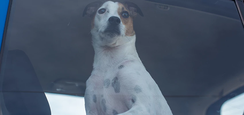 Car Lockout Solutions in El Monte, California